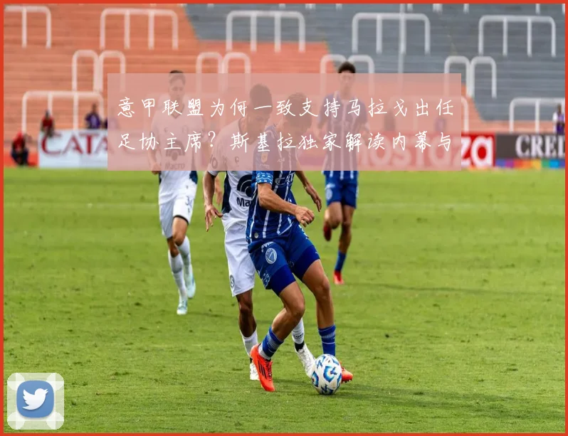 意甲联盟为何一致支持马拉戈出任足协主席?斯基拉独家解读内幕与未来影响
